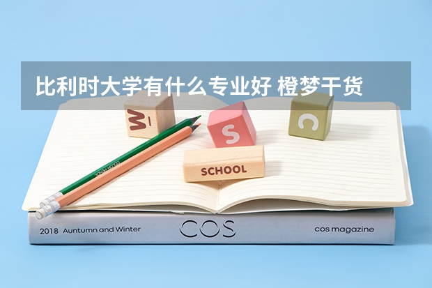 比利时大学有什么专业好 橙梦干货 | 版 比利时大学介绍之根特大学