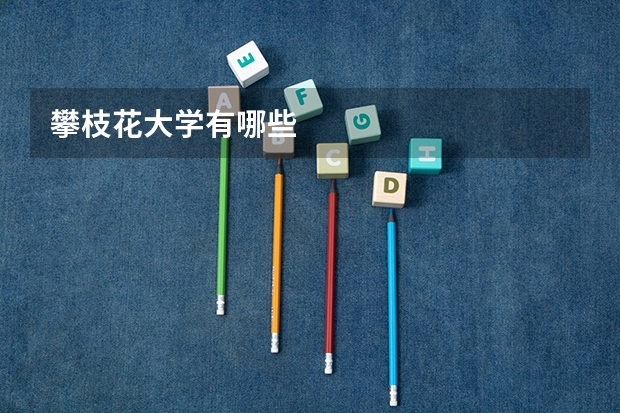 攀枝花大学有哪些