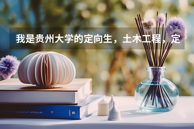 我是贵州大学的定向生,土木工程,定向望谟县就业,不知道将来去哪里是干什么工作