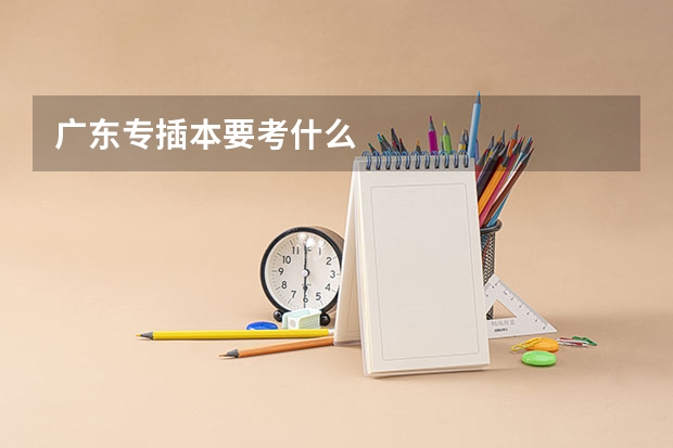 广东专插本要考什么