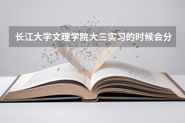 长江大学文理学院大三实习的时候会分配实习地点吗