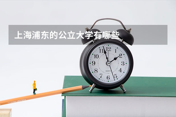 上海浦东的公立大学有哪些