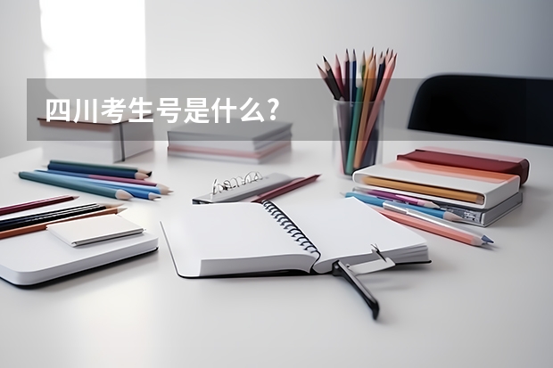 四川考生号是什么?