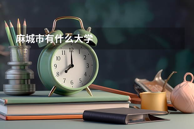 麻城市有什么大学