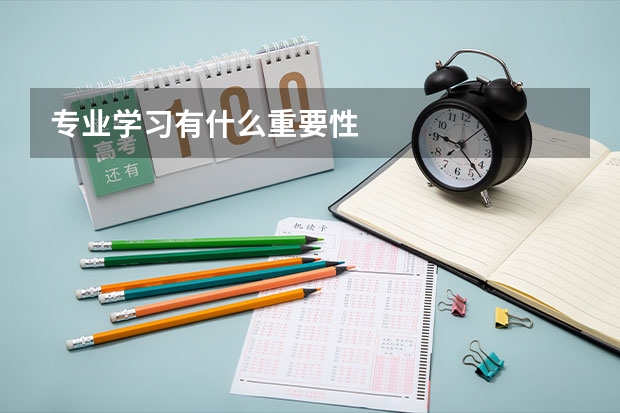 专业学习有什么重要性