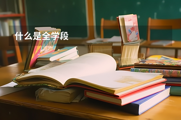 什么是全学段