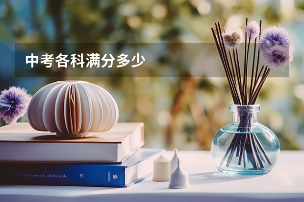 中考各科满分多少