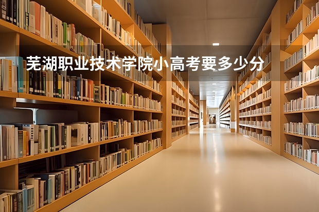 芜湖职业技术学院小高考要多少分