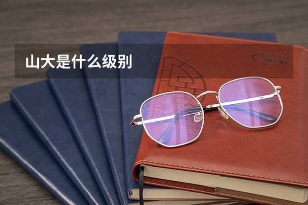 山大是什么级别