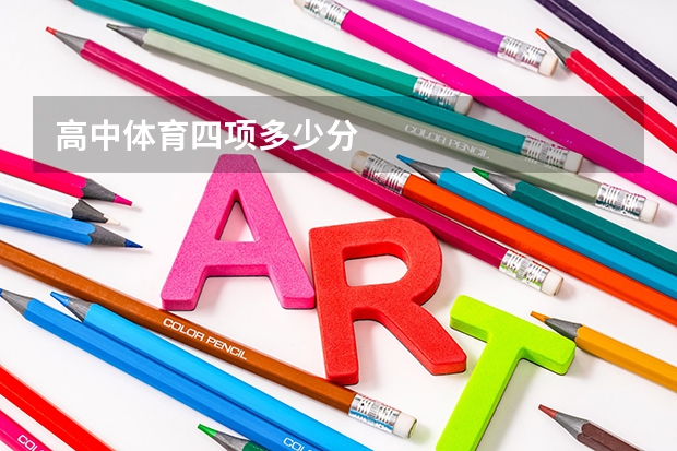 高中体育四项多少分