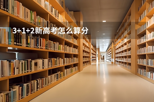 3+1+2新高考怎么算分