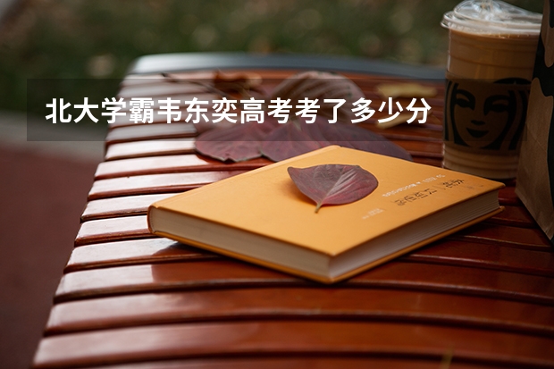 北大学霸韦东奕高考考了多少分
