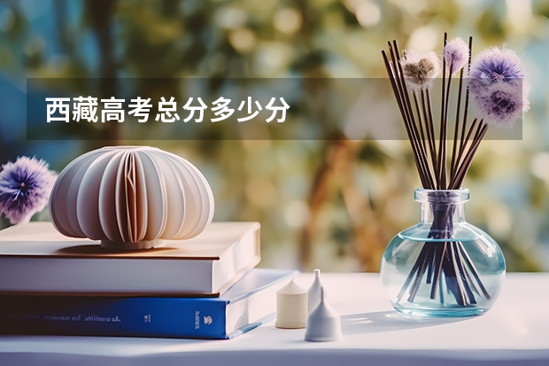 西藏高考总分多少分