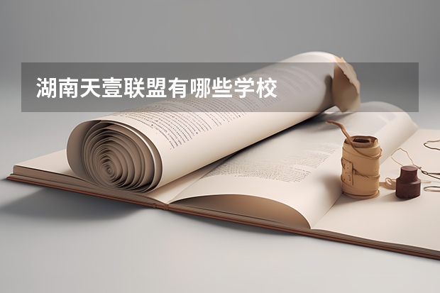 湖南天壹联盟有哪些学校