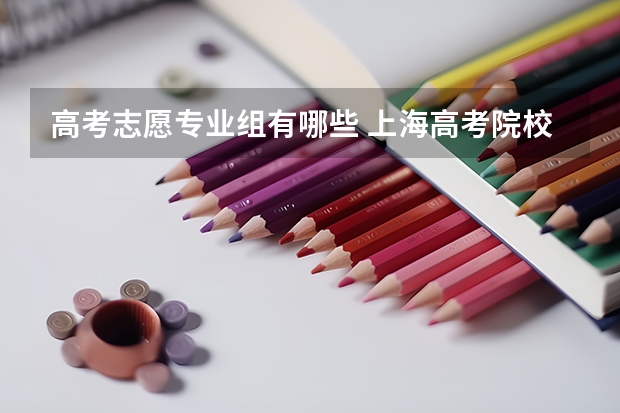 高考志愿专业组有哪些 上海高考院校专业组是什么意思？