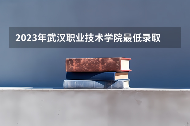 2023年武汉职业技术学院最低录取分数参考 湖北往年录取分数线