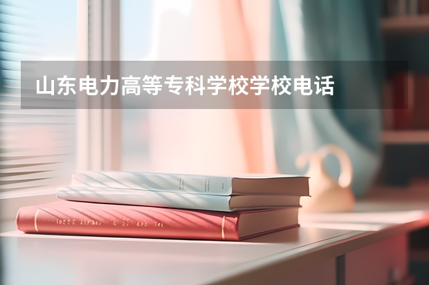 山东电力高等专科学校学校电话