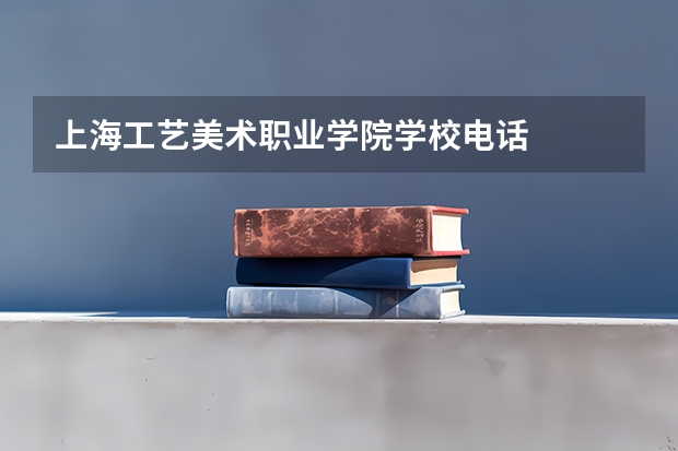 上海工艺美术职业学院学校电话