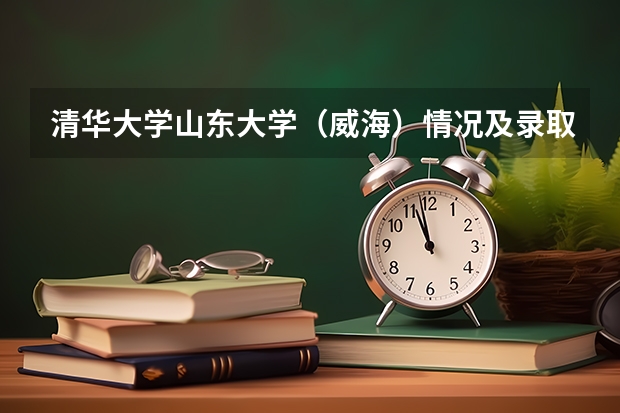 清华大学山东大学（威海）情况及录取分数对比