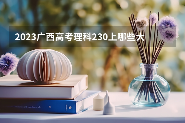 2023广西高考理科230上哪些大学比较好