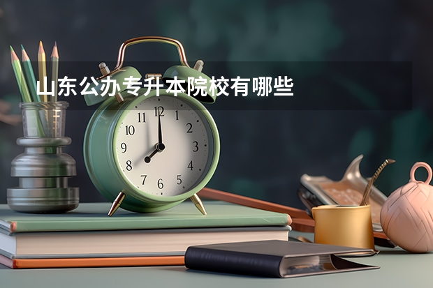 山东公办专升本院校有哪些