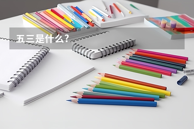 五三是什么?