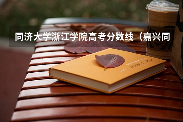 同济大学浙江学院高考分数线（嘉兴同济大学录取分数线）