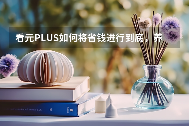看元PLUS如何将省钱进行到底，养护成本计算