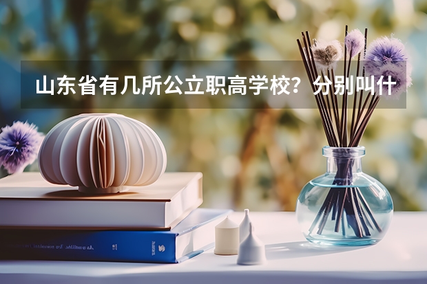 山东省有几所公立职高学校？分别叫什么名？