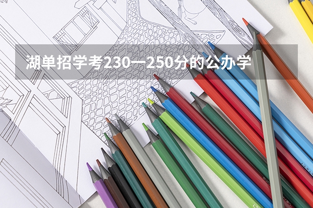 湖单招学考230一250分的公办学校有那些 湖南单招排名前十的学校