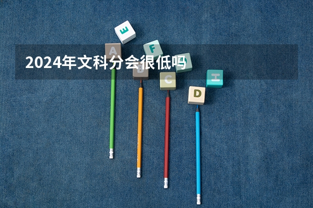 2024年文科分会很低吗