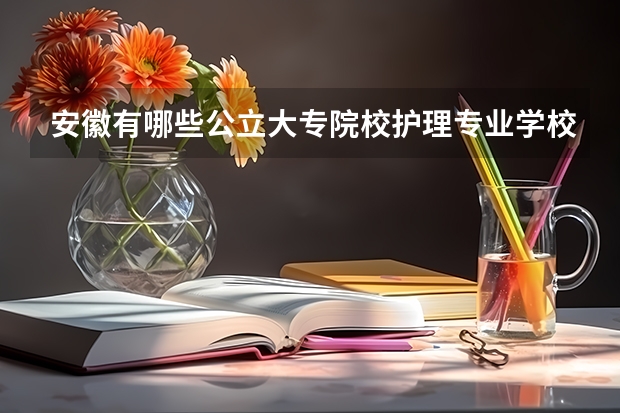 安徽有哪些公立大专院校护理专业学校