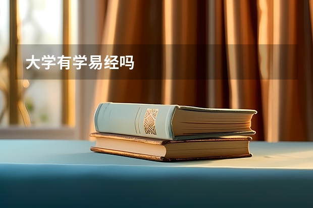 大学有学易经吗