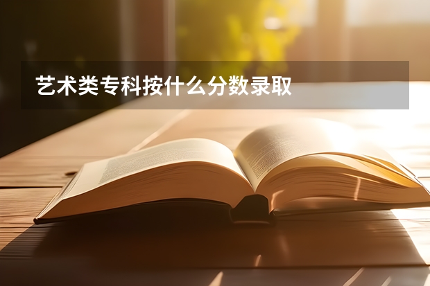 艺术类专科按什么分数录取