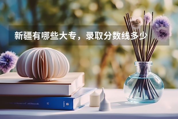新疆有哪些大专，录取分数线多少