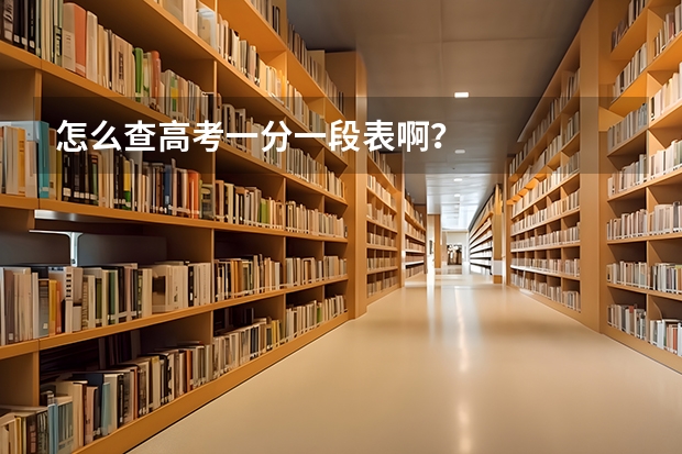 怎么查高考一分一段表啊？