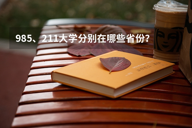 985、211大学分别在哪些省份？