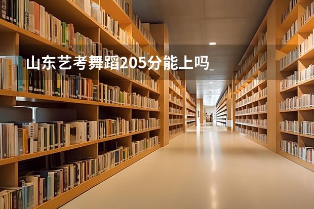 山东艺考舞蹈205分能上吗
