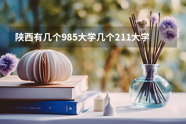 陕西有几个985大学几个211大学 陕西理工大学是211还是985
