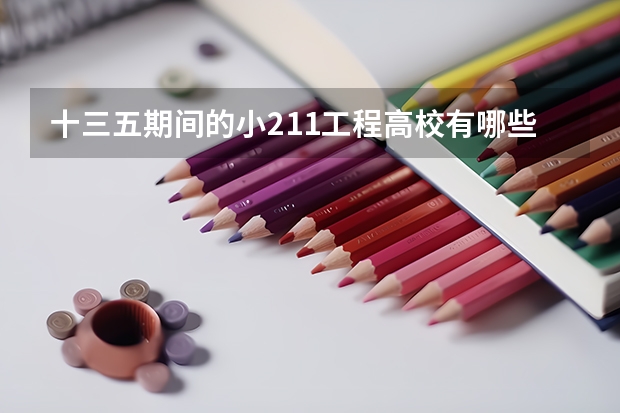 十三五期间的小211工程高校有哪些