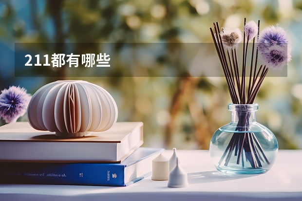 211都有哪些