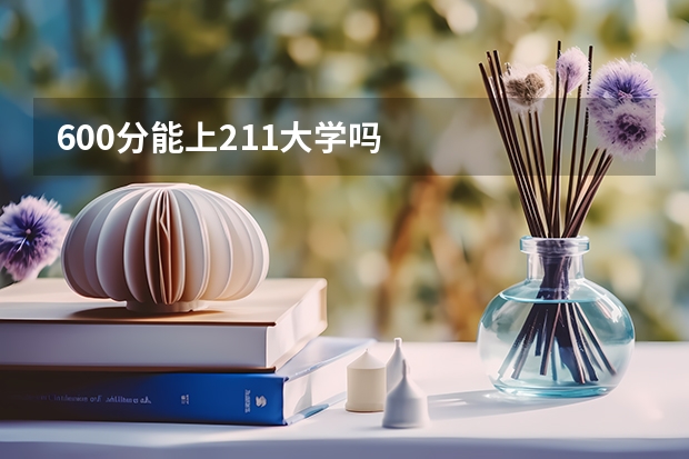 600分能上211大学吗
