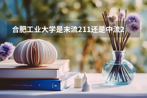 合肥工业大学是末流211还是中流211 属于什么水平