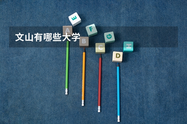 文山有哪些大学