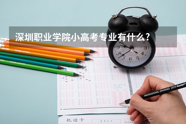 深圳职业学院小高考专业有什么?