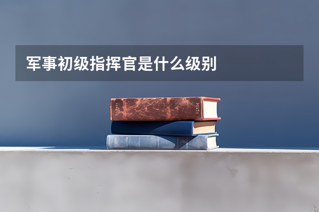军事初级指挥官是什么级别