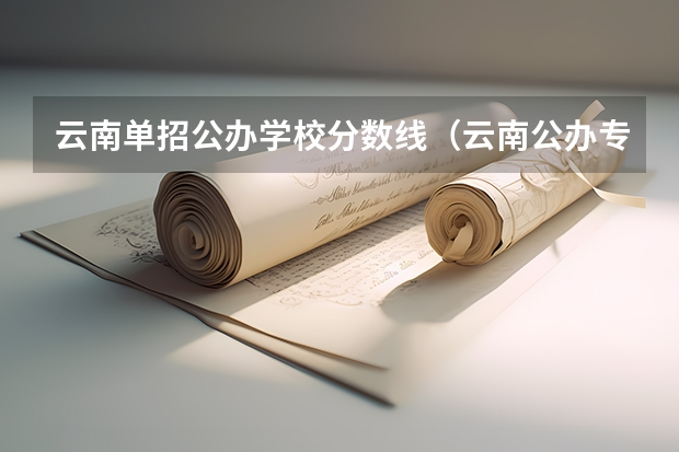 云南单招公办学校分数线（云南公办专科学校录取分数线）