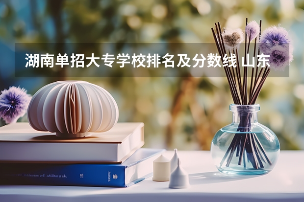 湖南单招大专学校排名及分数线 山东省单招学校排名及分数线