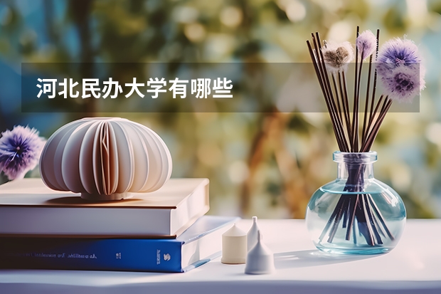 河北民办大学有哪些