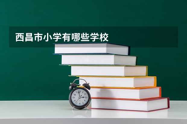西昌市小学有哪些学校